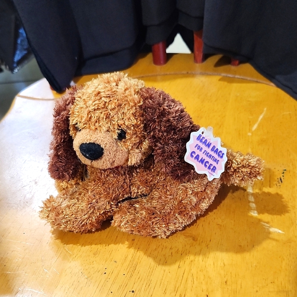 PLUSHLAND BEAN BAGS for FIGHTING CANCER DOG